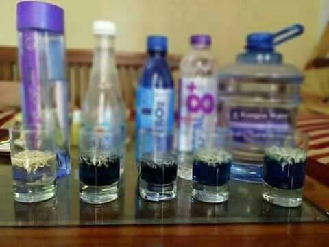 percobaan air alkali