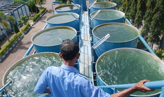 Soal kualitas air, kita juga kalah dengan Timor Leste [Image Source]