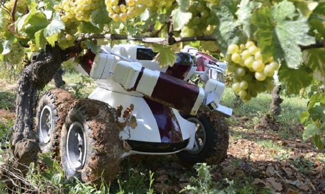 Robot pak tani akan membuat pertanian makin menggila [Image Source]