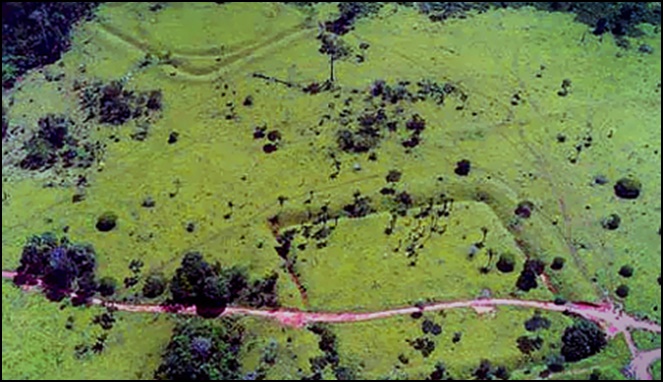Geoglif Amazon [Image Source]