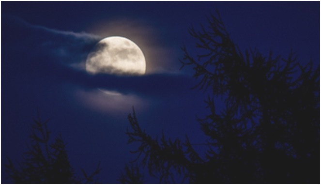 Ilustrasi bulan purnama [Image Source]