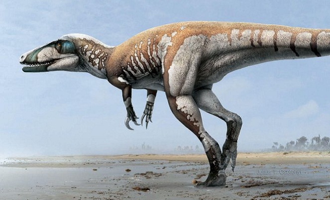 Dinosaurus ini jadi yang paling besar di daratan Australia [Image Source]
