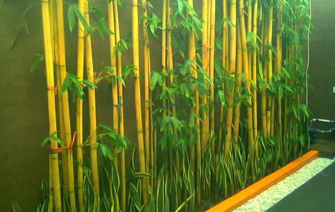 Bambu kuning mitosnya bisa menangkal berbagai macam sihir [Image Source]