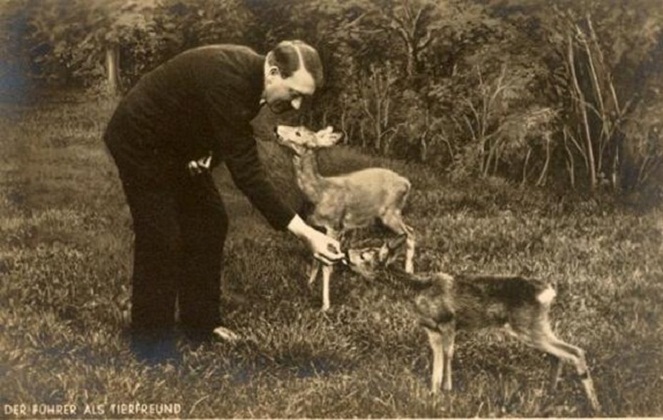 Hitler benci mereka yang berperilaku tak santun kepada binatang [Image Source]