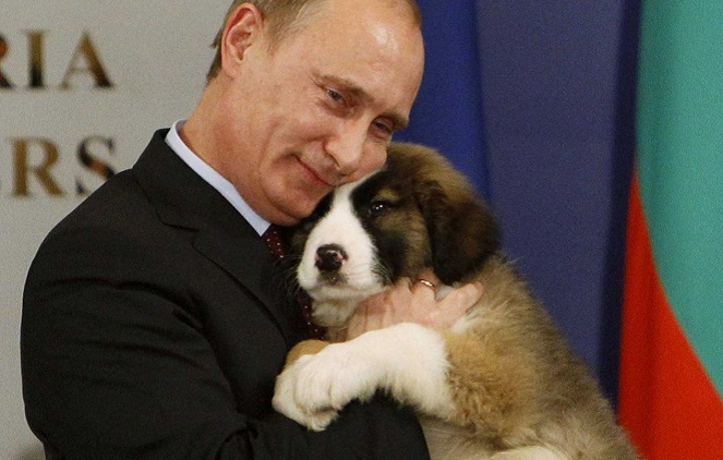 Alpha Dog, sebutan Amerika untuk Vladimir Putin [Image Source]