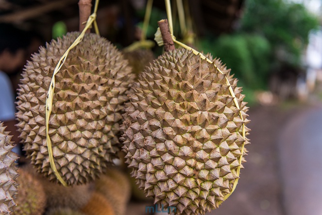 Durian Bubur [image source]