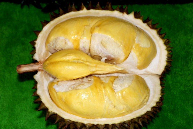 Durian Matahari [image source]
