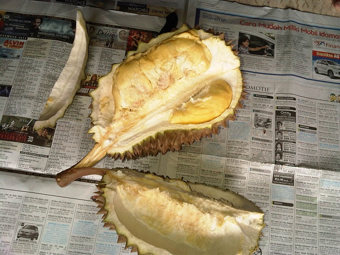 Durian Petruk [image source]