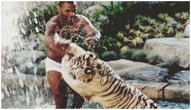 Mike Tyson dan harimau peliharaannya [Image Source]