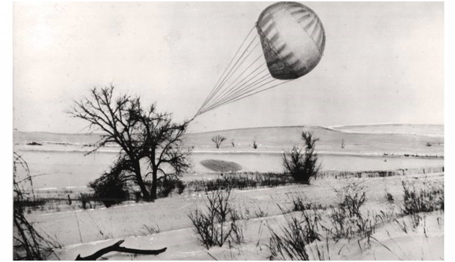 Salah satu balon bom yang nyangkut di pohon [Image Source]