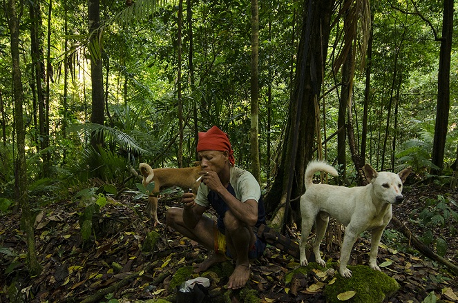 Seseorang dari suku Naulu beristirahat di hutan [image source]