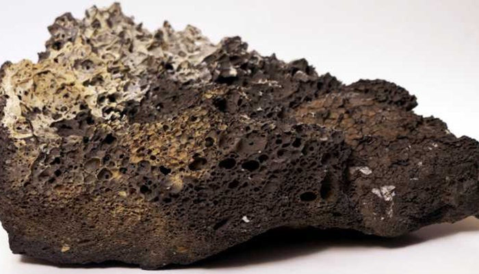fosil di meteorit [image source]
