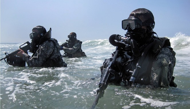 Navy SEAL [Image Source]