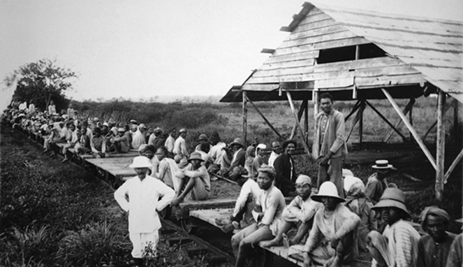 Orang Jawa di Suriname [Image Source]