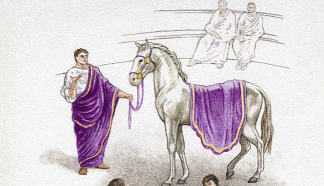 Kuda Caligula [Image Source]