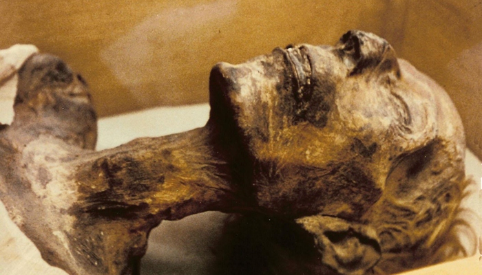 Mumi Firaun [image source]