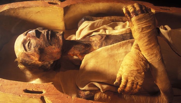Mumi Ramses II [image source]
