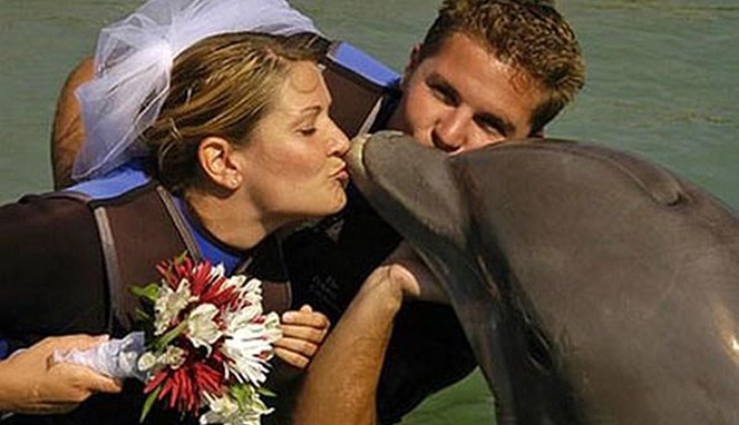 Sharon Tendler dan lumba-lumba Cindy [Image Source]