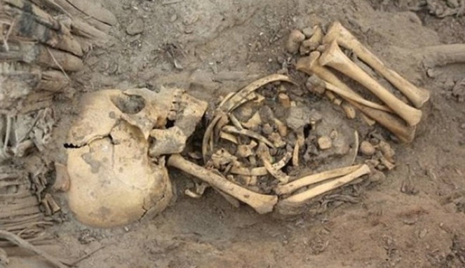Tulang bayi yang ditemukan [Image Source]