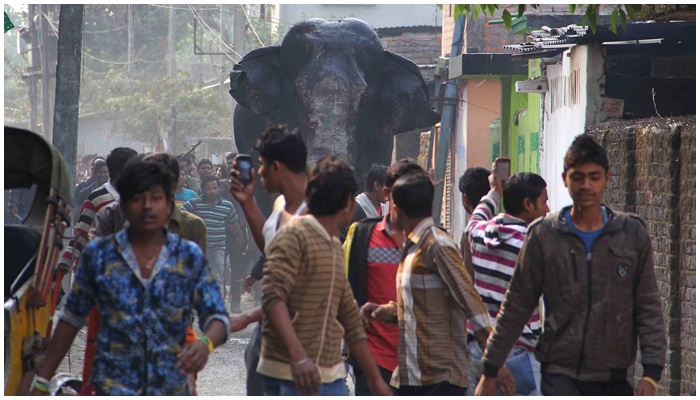 Gajah menyerang warga [image source]