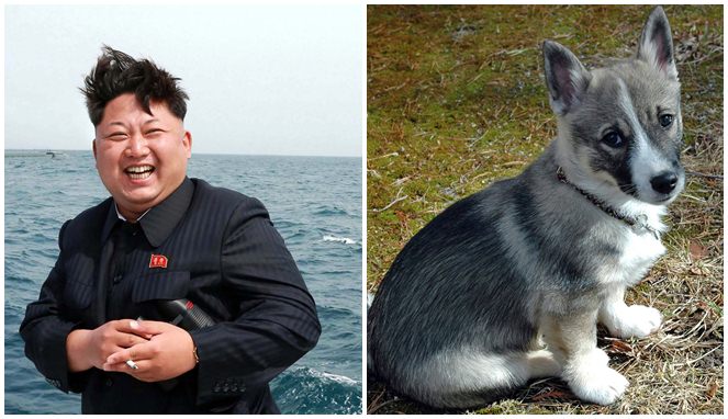 Kim Jong Un dan anjingnya