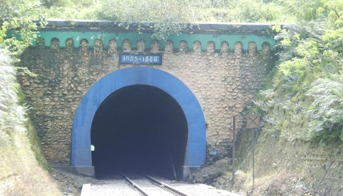 Terowongan ijo [image source]