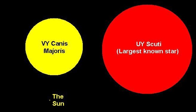 UY Scuti VS VY Canis Majoris [Image Source]