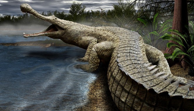 Ukuran tubuh Sarcosuchus [Image Source]