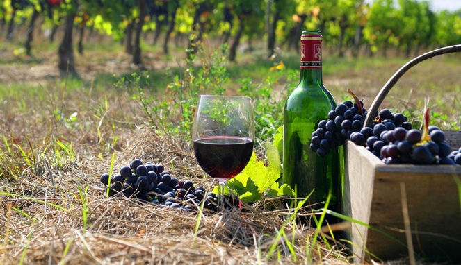 Wine Armenia [Image Source]