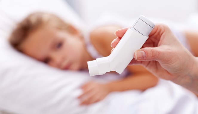Penyebab asma [Image Source]