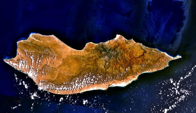 Pulau Socotra [Image Source]