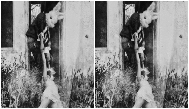 Seorang anggota Mask Rabbit membunuh korbannya