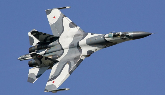 Sukhoi Su-27 [Image Source]
