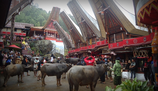 Rambu Solo Upacara Pemakaman Dari Toraja Yang Terkenal Paling Megah Dan Mahal Di Dunia