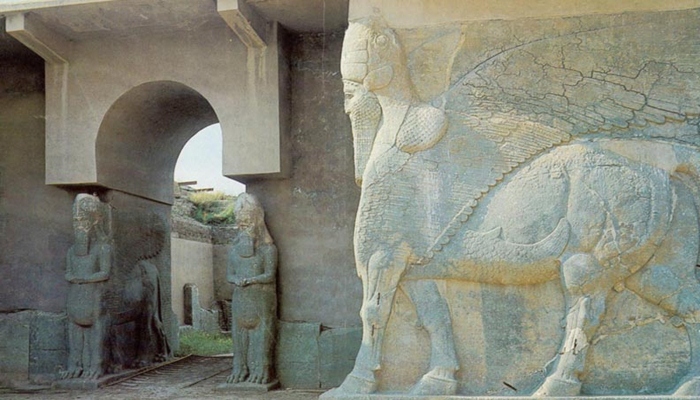 Kot Kuno Nimrud [image source]
