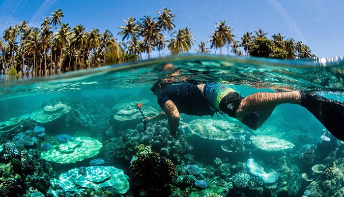 Snorkeling di Pulau Asu [image source]