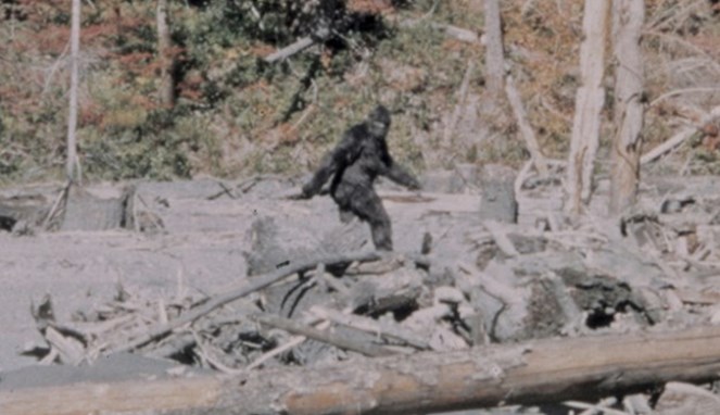 Bigfoot dipercaya ada di Indonesia [Image Source]
