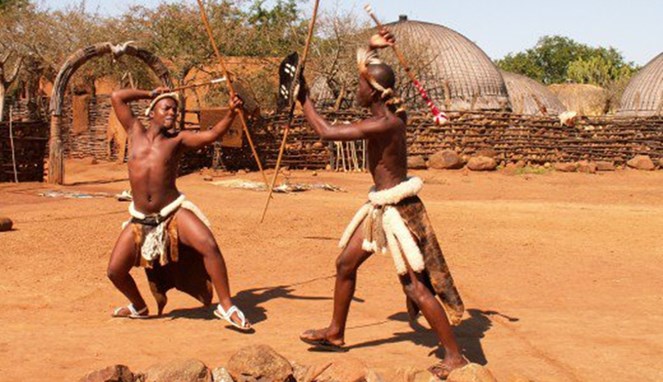 Duel Nguni Afrika [Image Source]