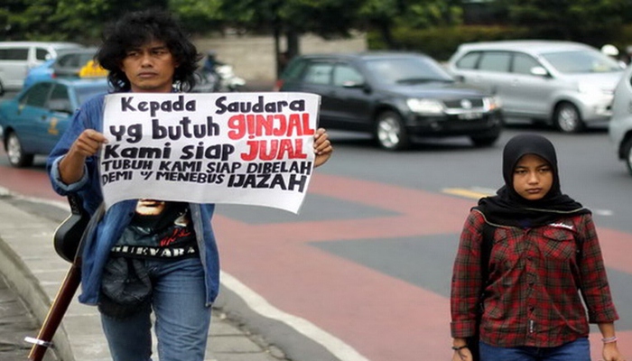 jual organ di Indonesia [image source]