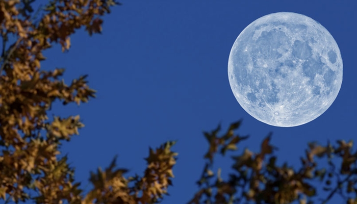 blue moon yang sangat langka [image source]