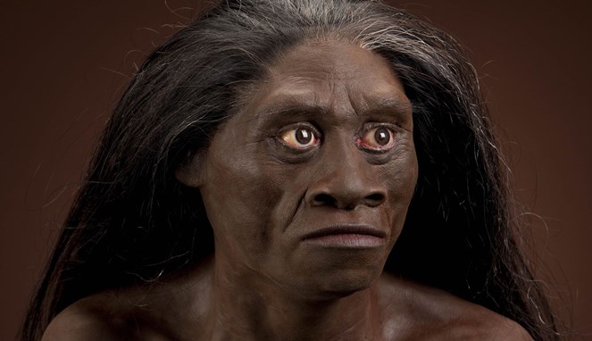 Kontroversi Homo Floresiensis [Image Source]