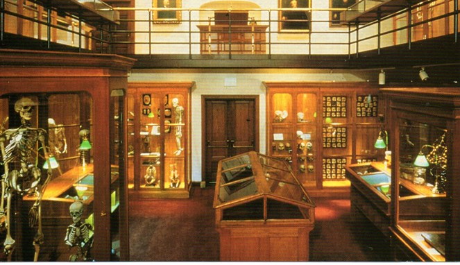 Mutter Museum [Image Source]
