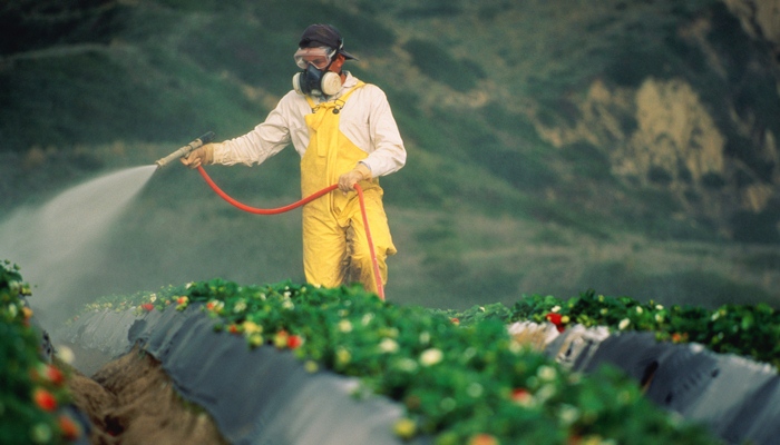 Pestisida [image source]