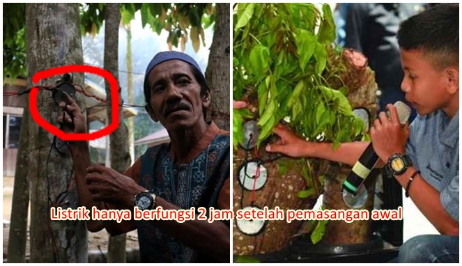 Nasib Listrik Pohon Kedondong Temuan Bocah Asal Aceh Yang Kini Mangkrak Tak Berguna Boombastis