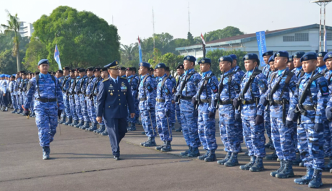 Ilustrasi Tentara Nasional Indonesia Angkatan Udara (TNI AU). [Sumber Gambar]